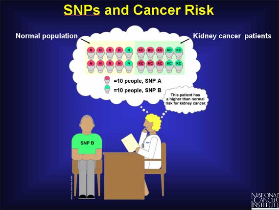 SNP and Cancer Risk