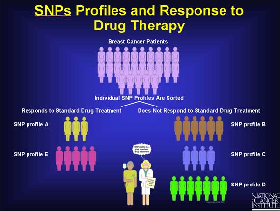 SNP and response to drug therapy